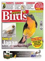 Cage & Aviary Birds